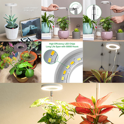 Sunshine Desk Grow Light 8 Hours Grow Lights For Indoor Plants